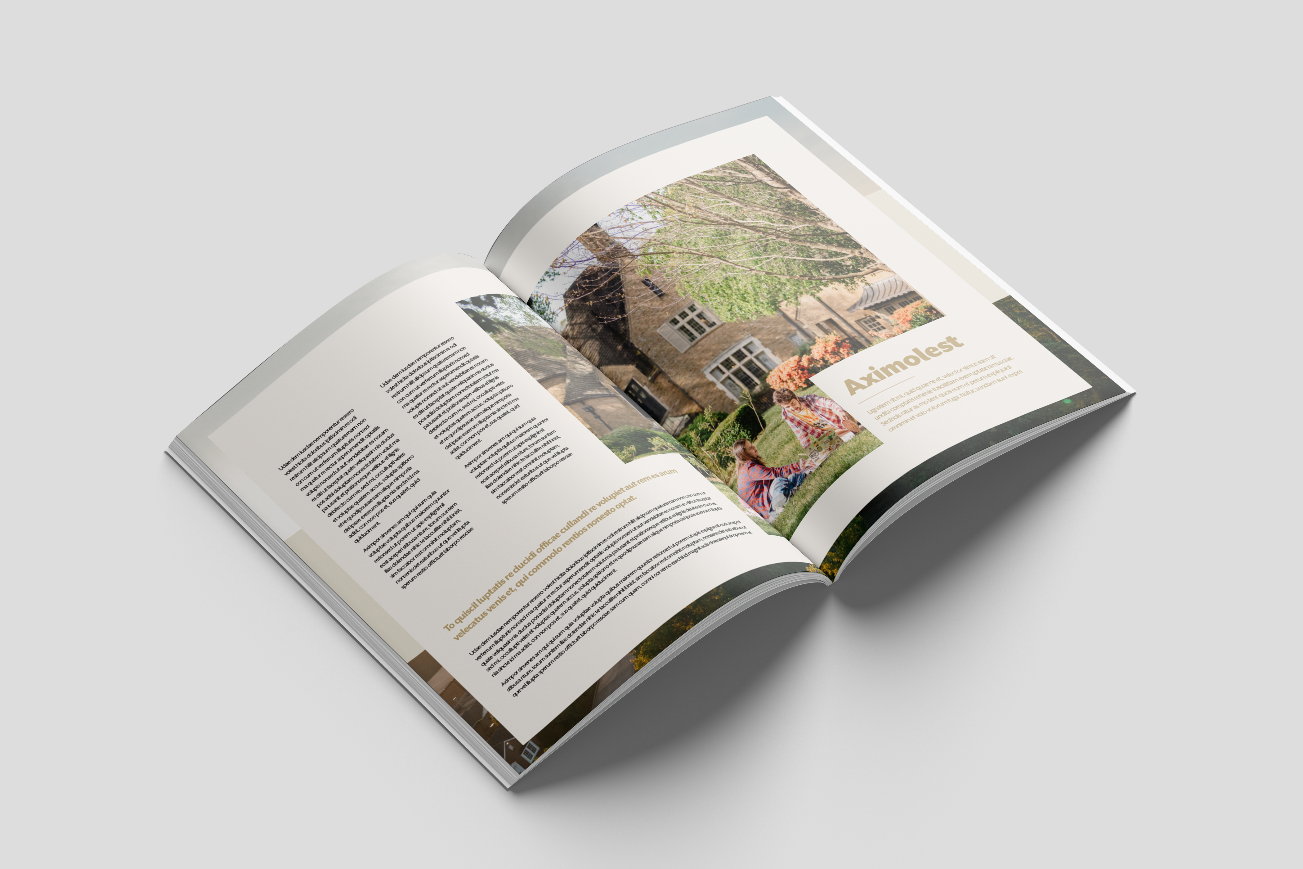 Campaign Proposal Template