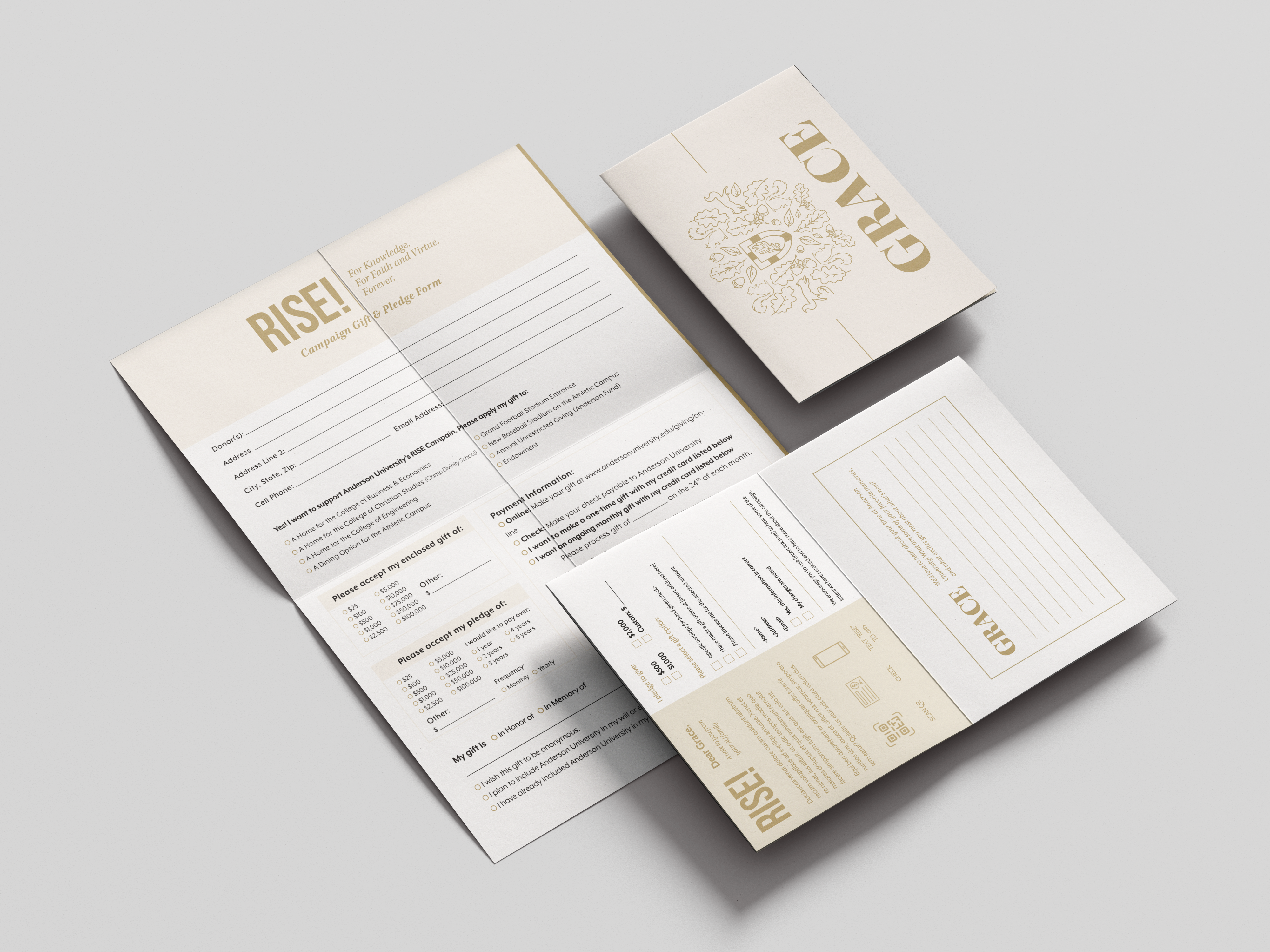 RISE Giving Materials