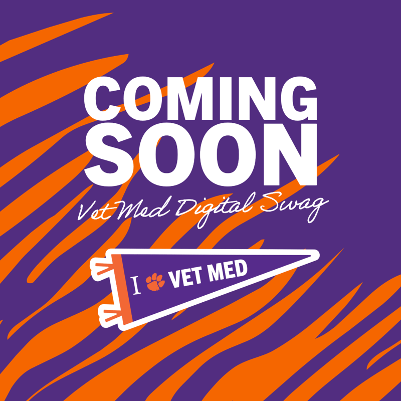 Coming Soon PVCM Digital Swag