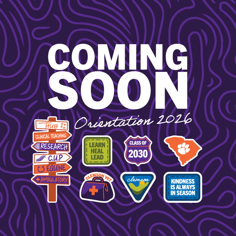 Coming Soon PVCM 2026 Orientation
